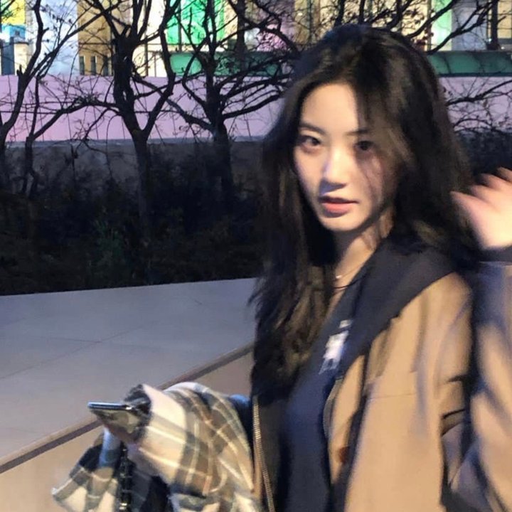 夜莺之旅